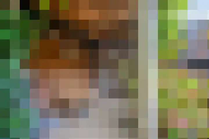 Schoener 25 Wieringerwerf thumbnail 34