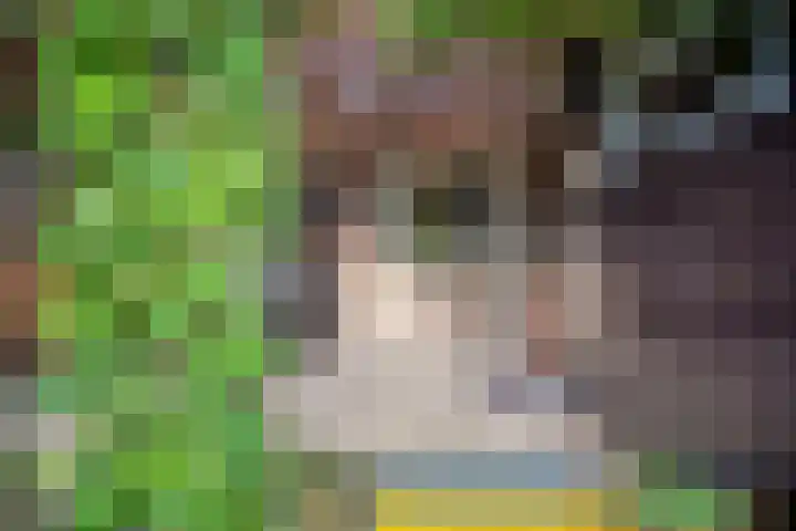 Schoener 25 Wieringerwerf thumbnail 35