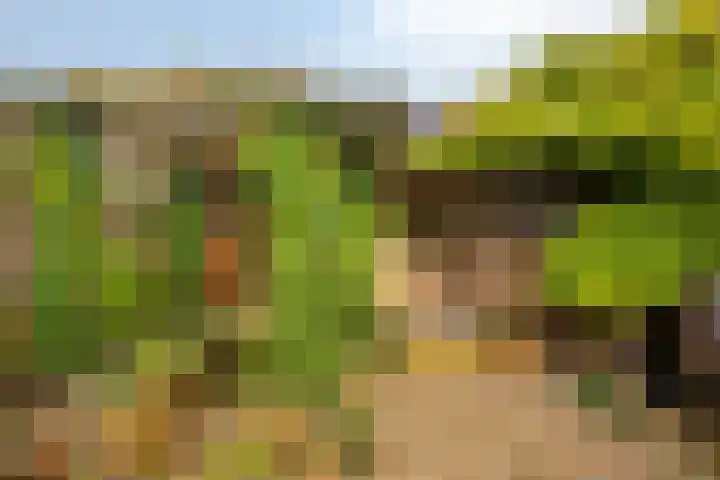 Schoener 25 Wieringerwerf thumbnail 36