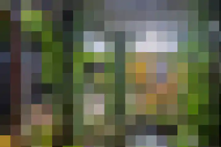 Schoener 25 Wieringerwerf thumbnail 38