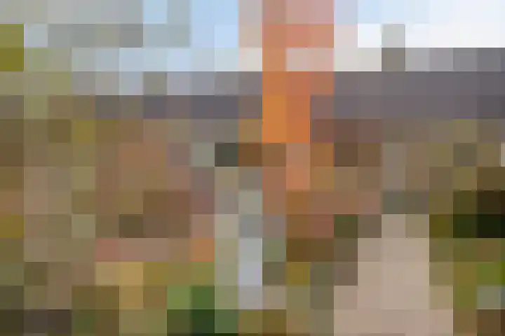 Schoener 25 Wieringerwerf thumbnail 4