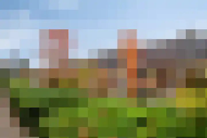 Schoener 25 Wieringerwerf thumbnail 6