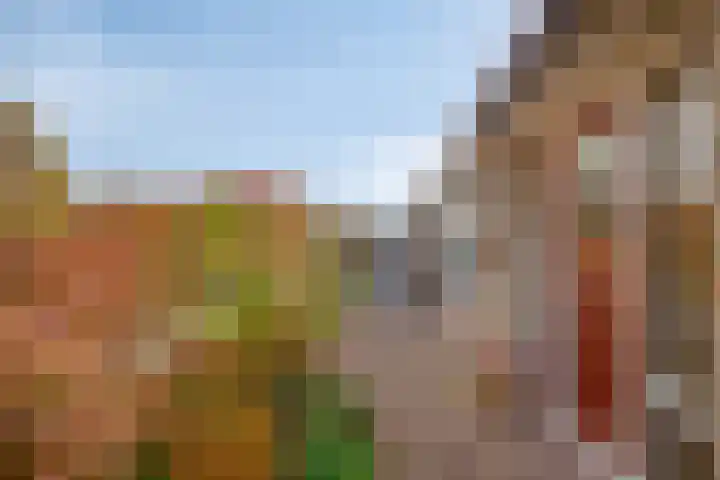 Schoener 25 Wieringerwerf thumbnail 8