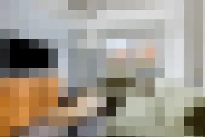 Schoener 26 Franeker thumbnail 11