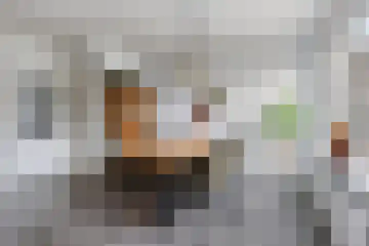 Schoener 26 Franeker thumbnail 15