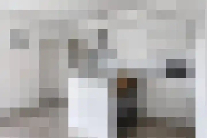 Schoener 26 Franeker thumbnail 18