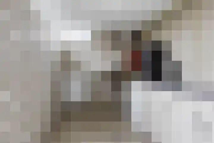 Schoener 26 Franeker thumbnail 23