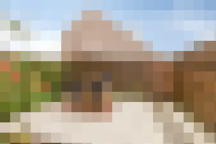Schoener 26 Franeker thumbnail 38