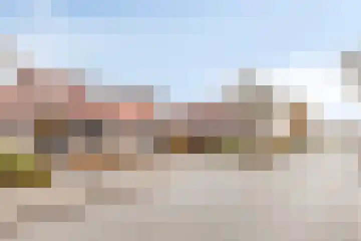 Schoener 26 Franeker thumbnail 41