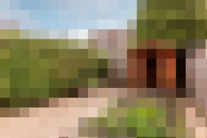 Schoener 27 25 Lelystad thumbnail 31