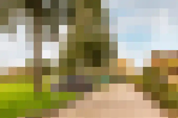 Schoener 27 25 Lelystad thumbnail 35