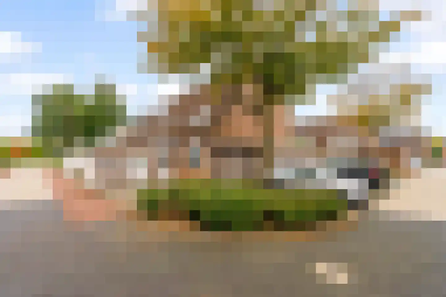 Schoener 27 27 22 Lelystad thumbnail 38