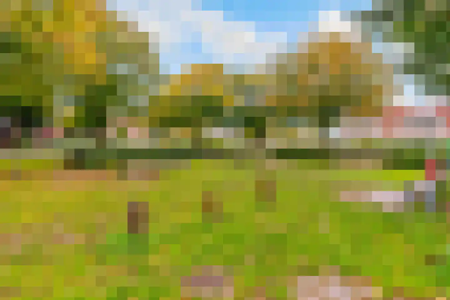 Schoener 27 27 22 Lelystad thumbnail 43