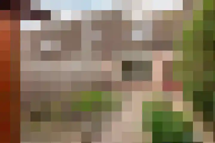 Schoener 27 27 25 Lelystad thumbnail 28