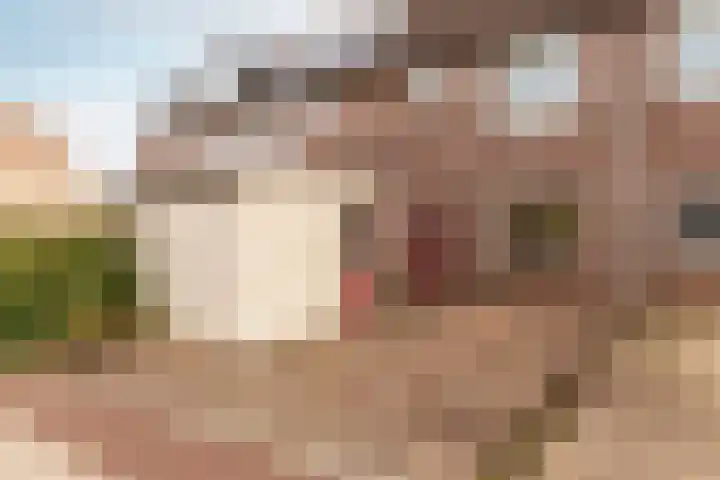 Schoener 27 27 25 Lelystad thumbnail 32