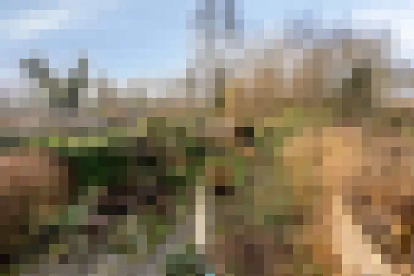 Schoener 29 Zeewolde thumbnail 28