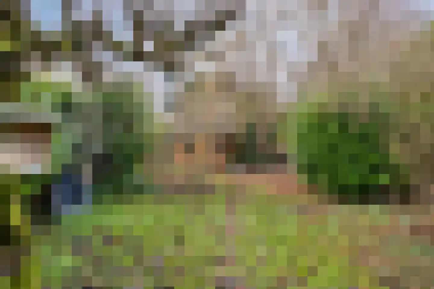 Schoener 29 Zeewolde thumbnail 39