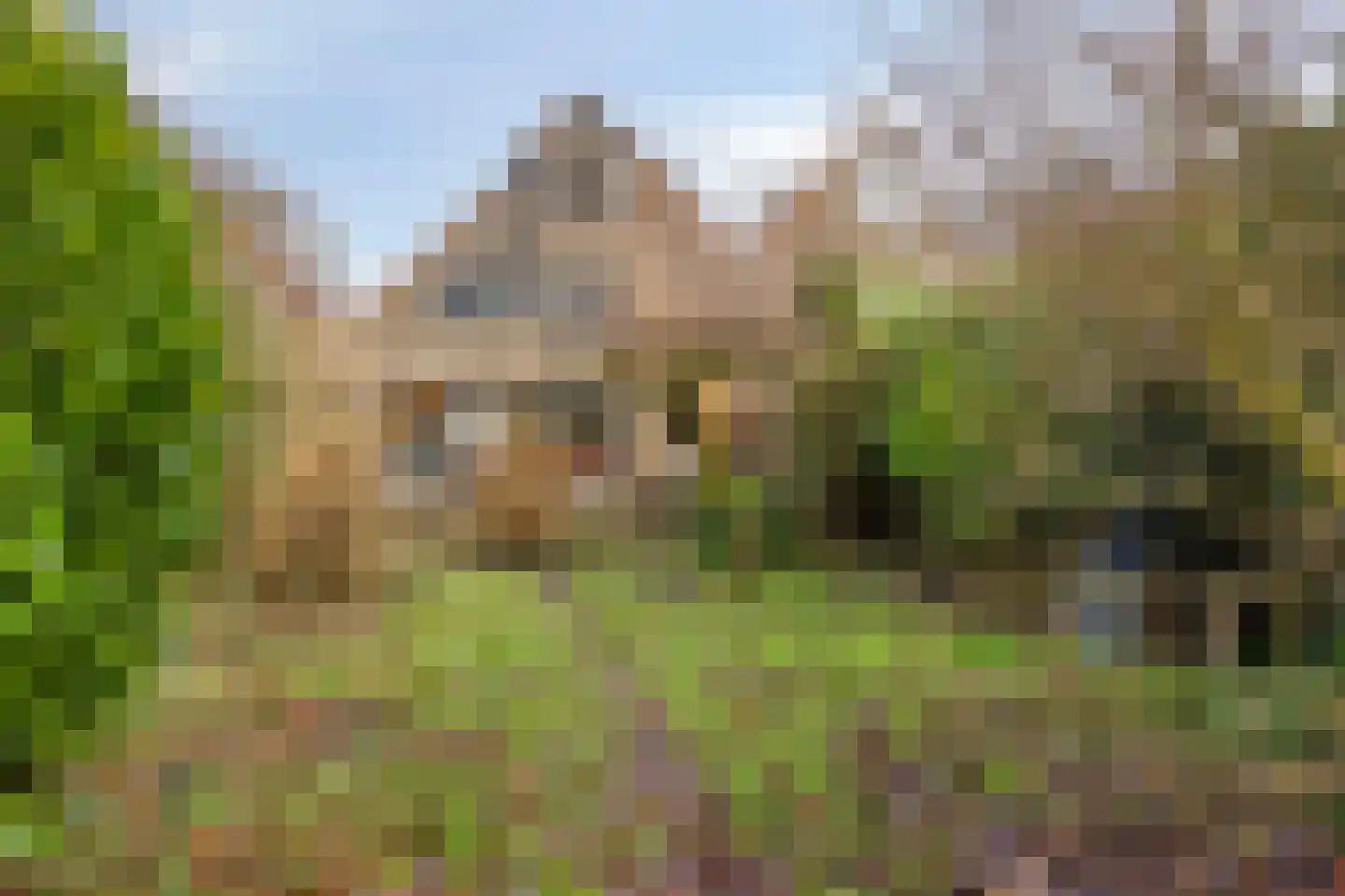 Schoener 29 Zeewolde thumbnail 4