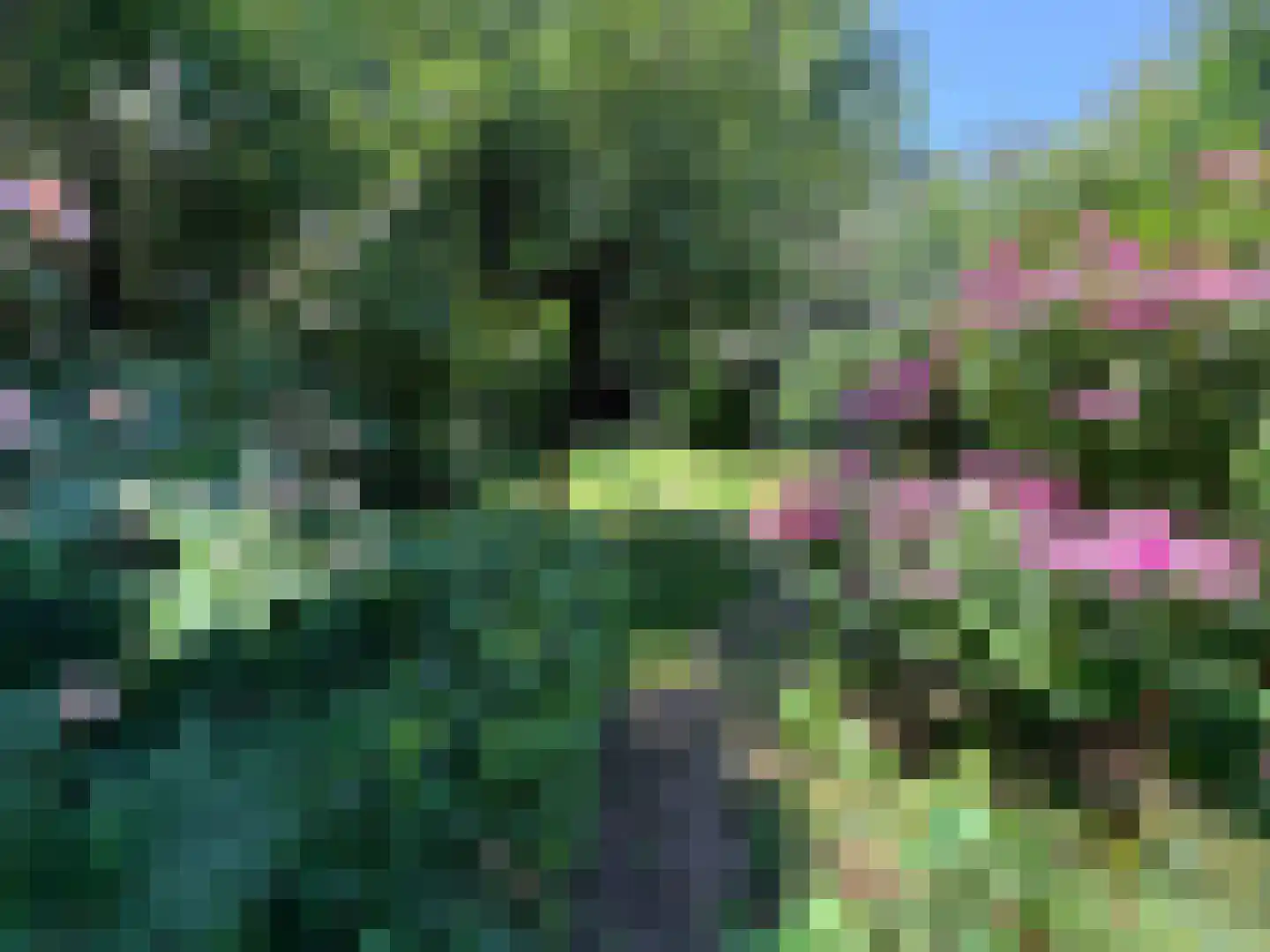 Schoener 29 Zeewolde thumbnail 41