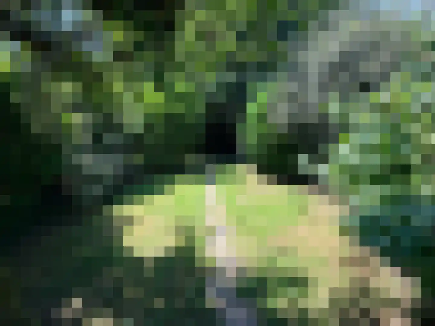 Schoener 29 Zeewolde thumbnail 42