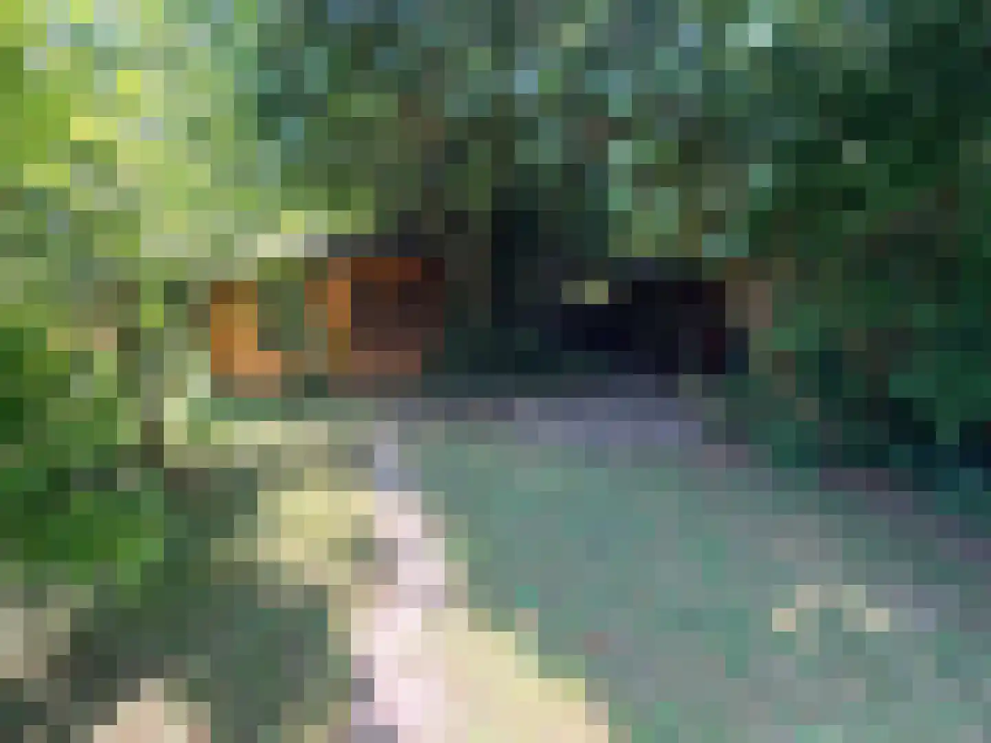 Schoener 29 Zeewolde thumbnail 43