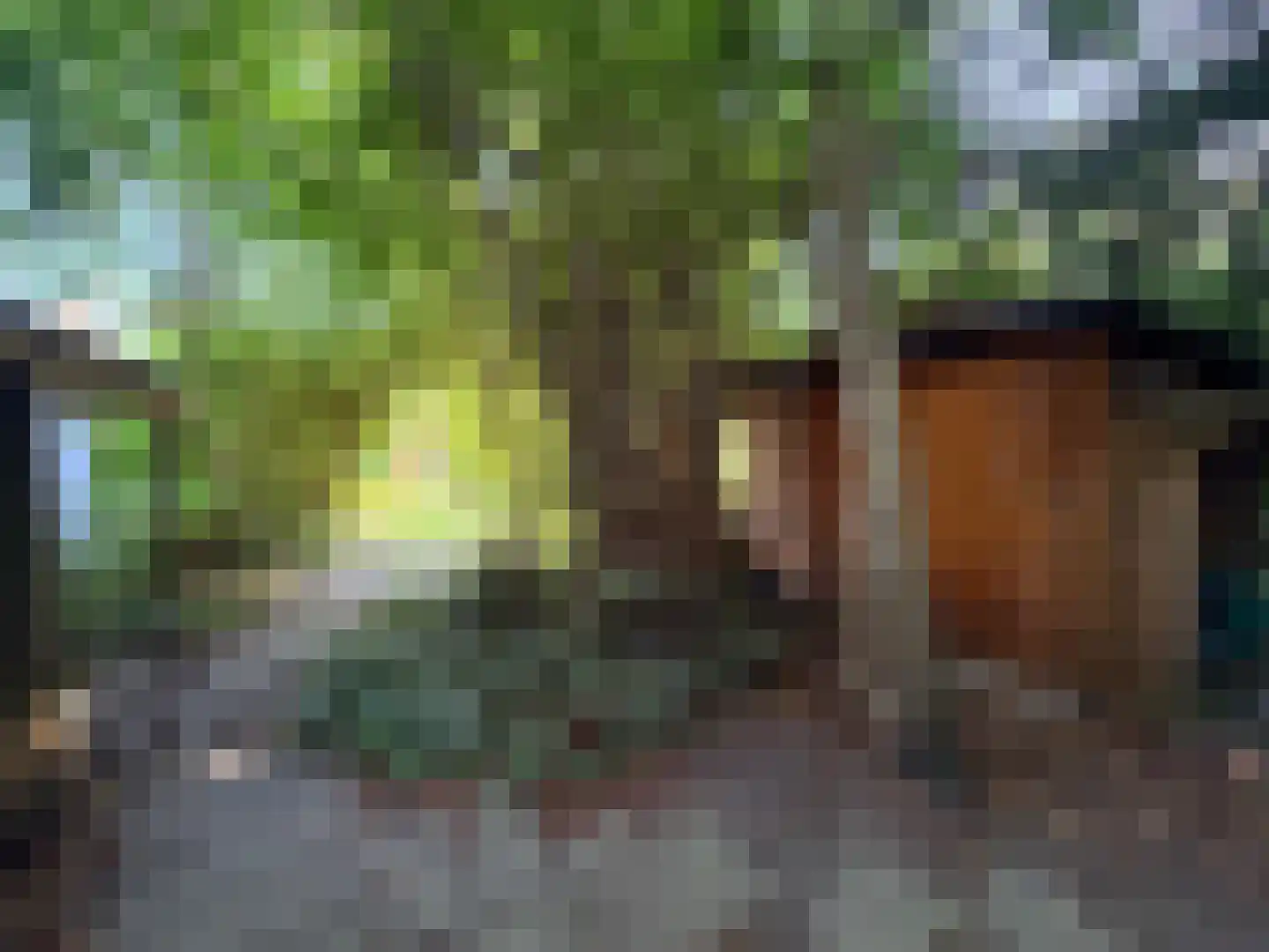 Schoener 29 Zeewolde thumbnail 45