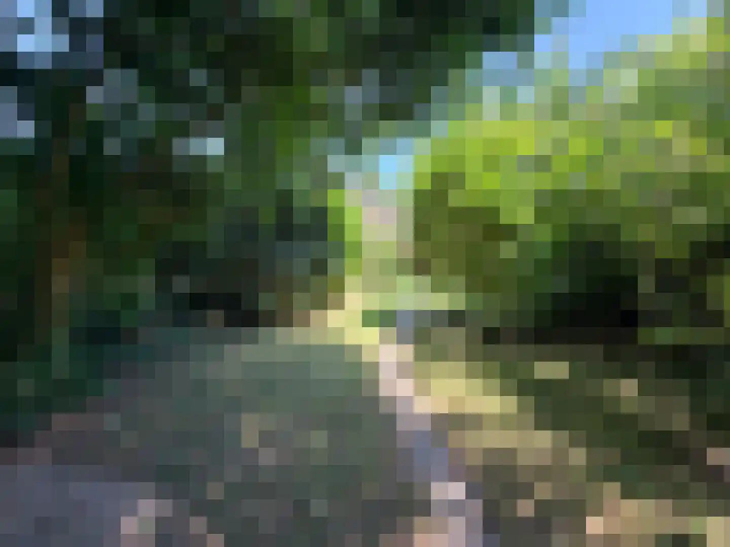 Schoener 29 Zeewolde thumbnail 46