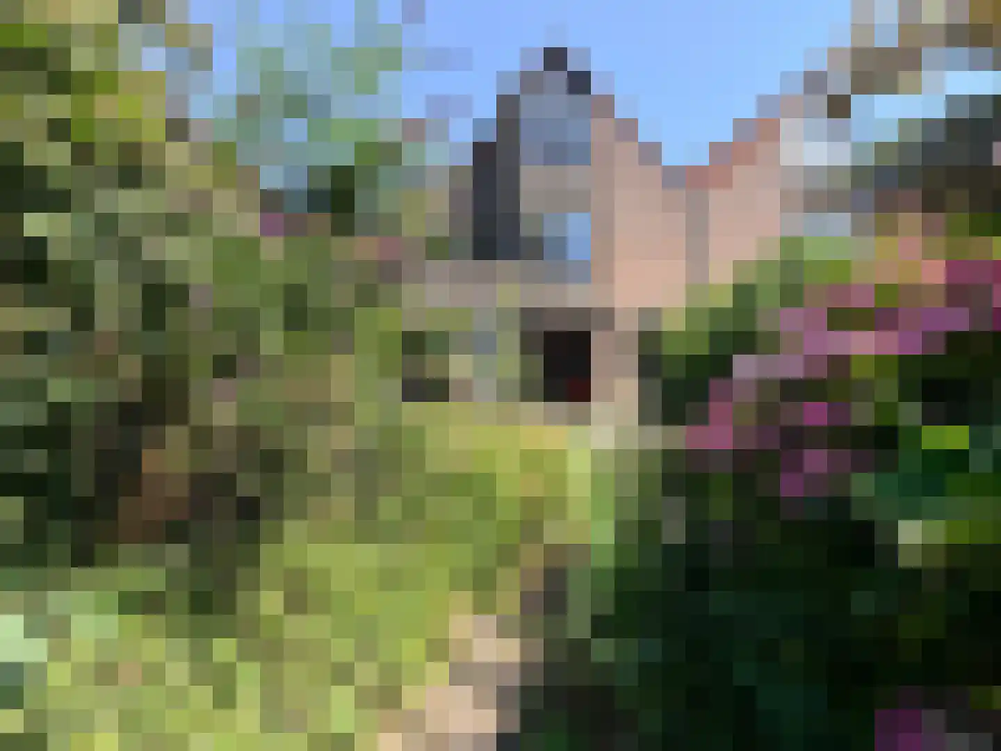 Schoener 29 Zeewolde thumbnail 48