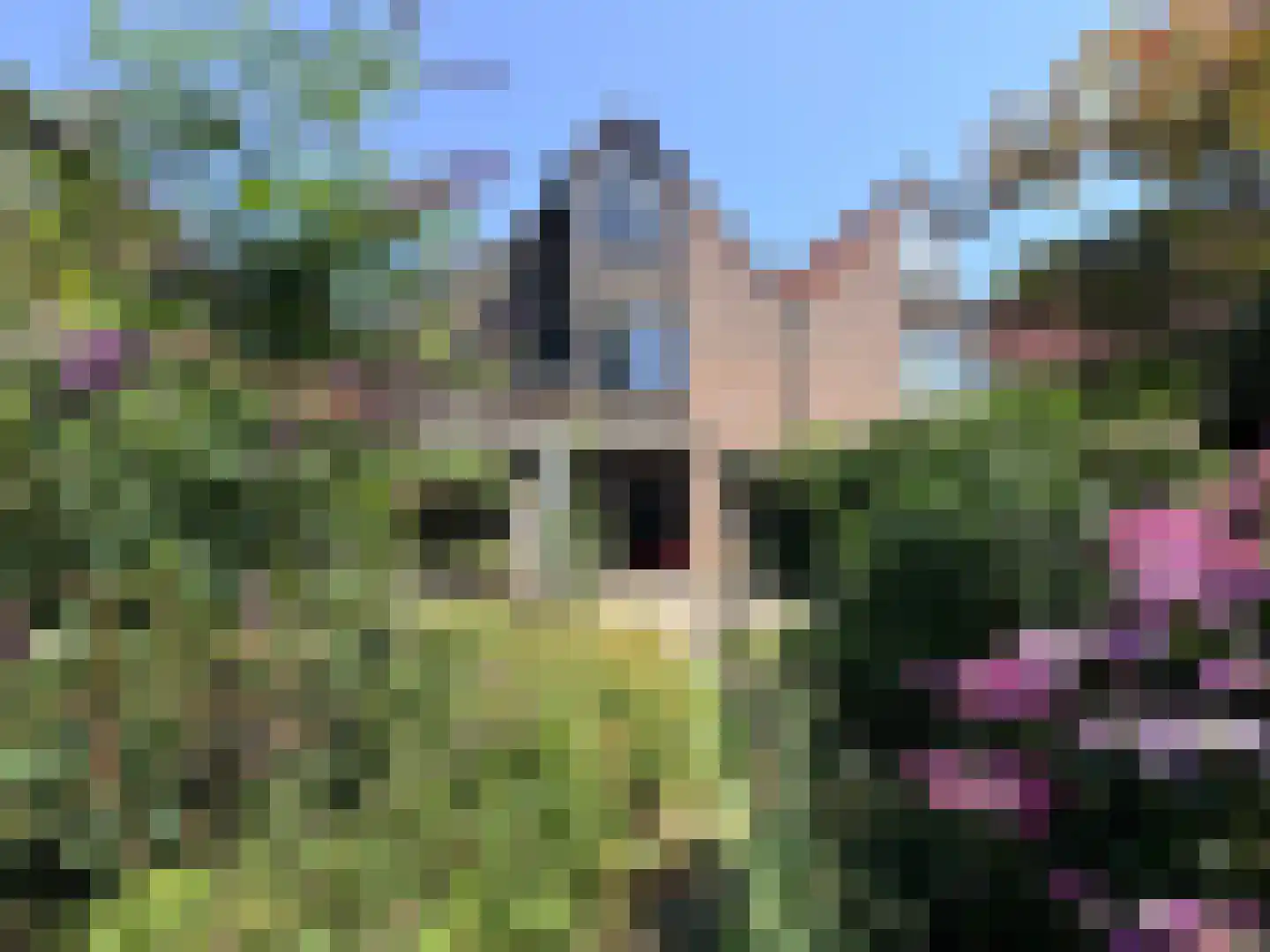 Schoener 29 Zeewolde thumbnail 49
