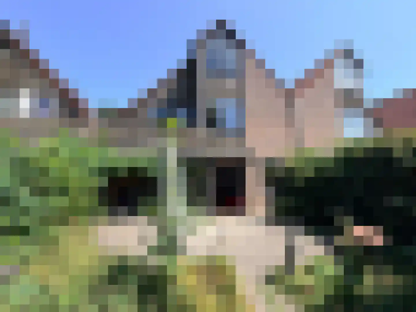 Schoener 29 Zeewolde thumbnail 50