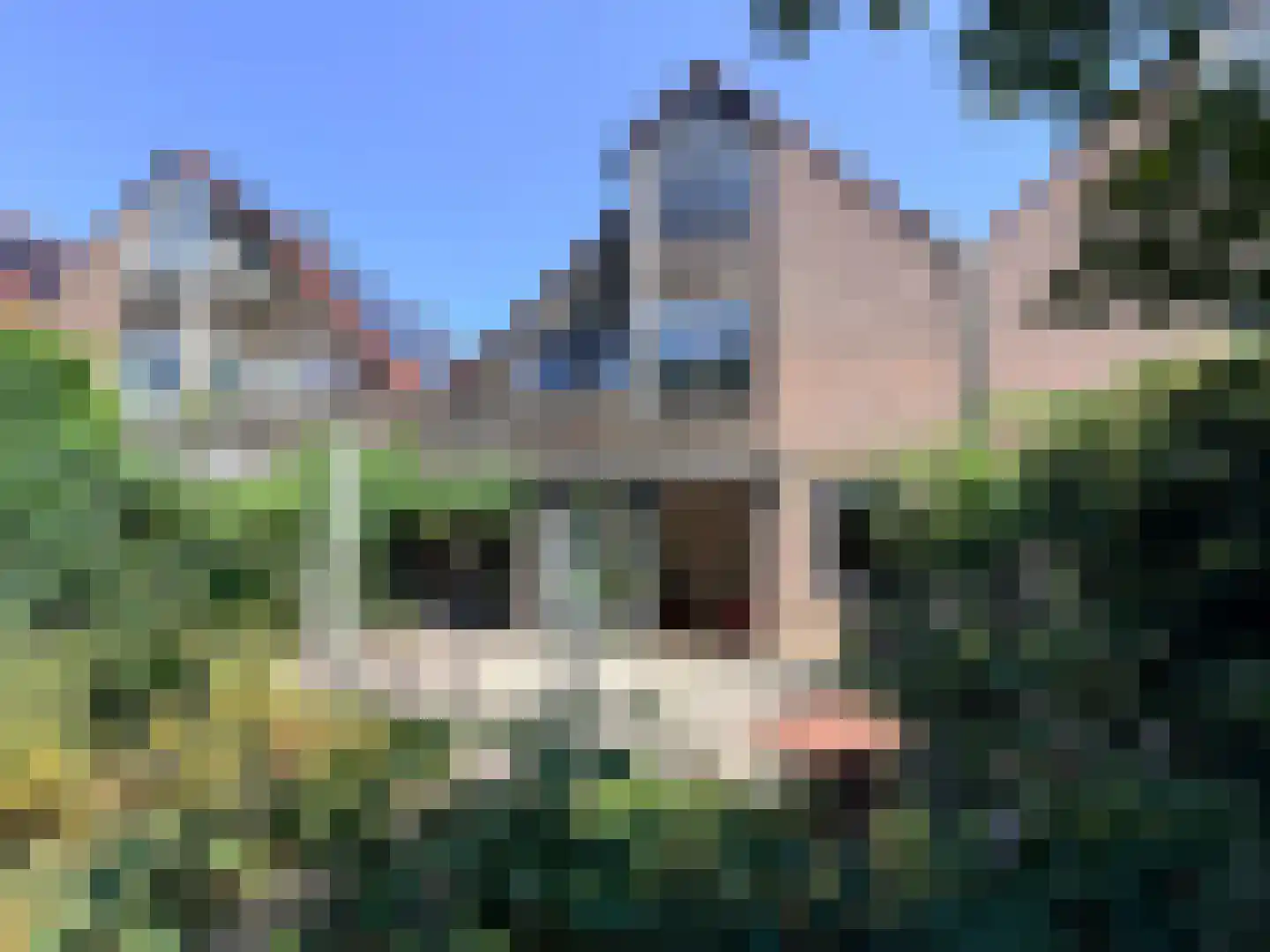 Schoener 29 Zeewolde thumbnail 51