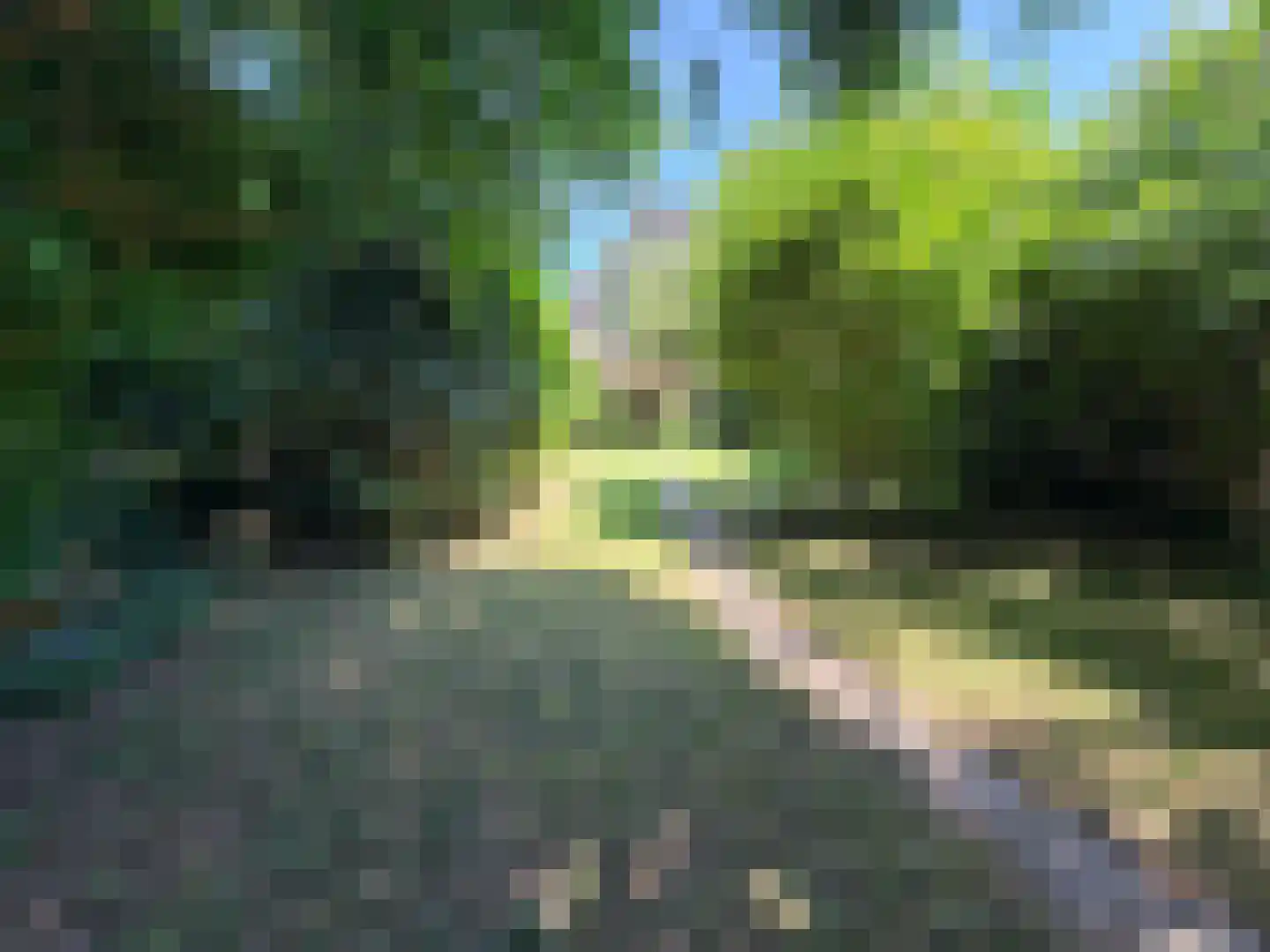 Schoener 29 Zeewolde thumbnail 6