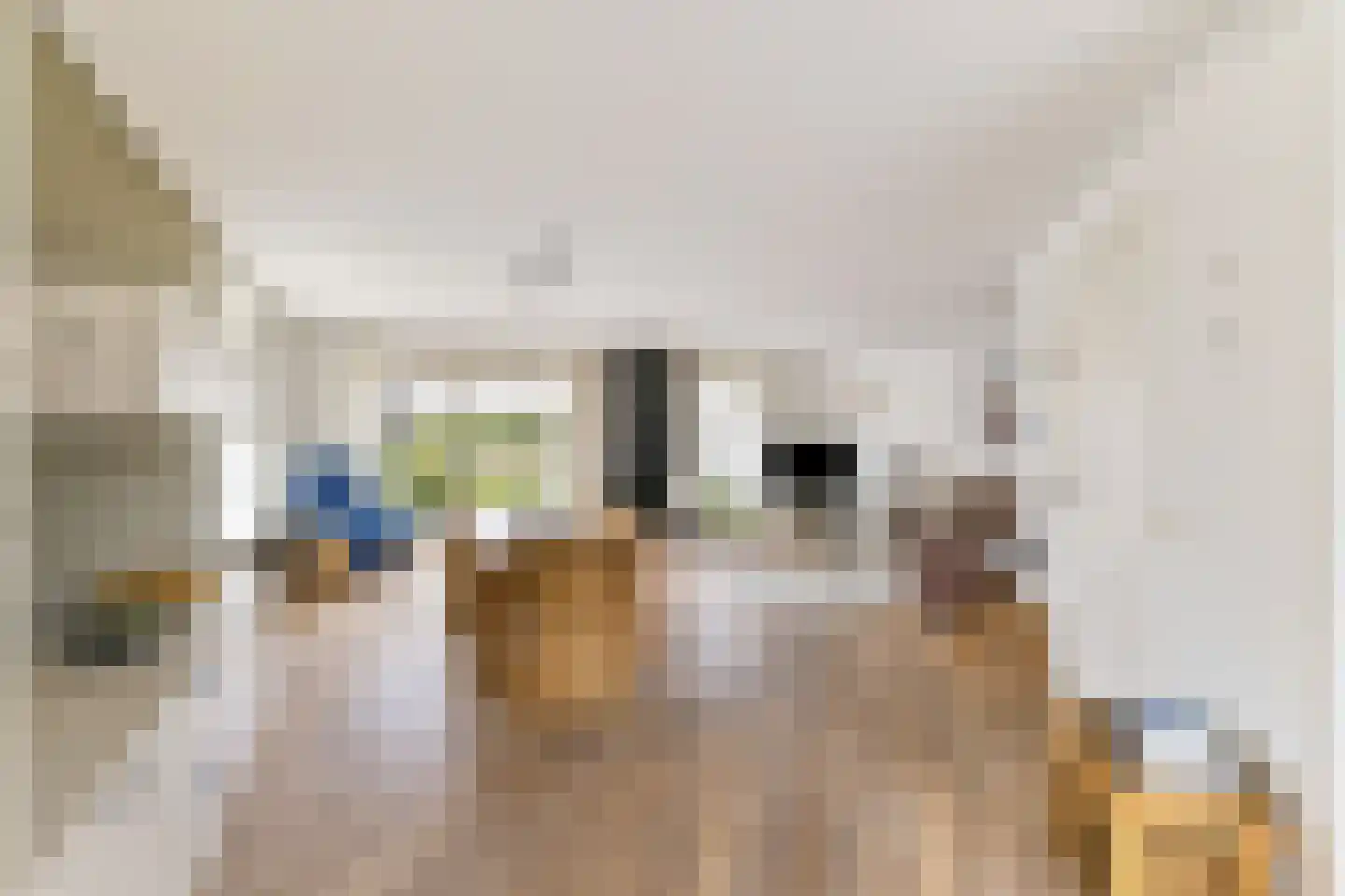 Schoener 3 Broek op Langedijk thumbnail 12