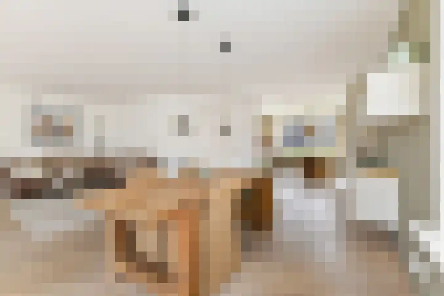 Schoener 3 Broek op Langedijk thumbnail 16