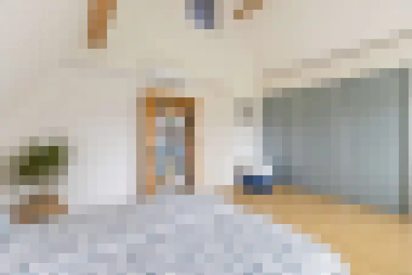Schoener 3 Broek op Langedijk thumbnail 22