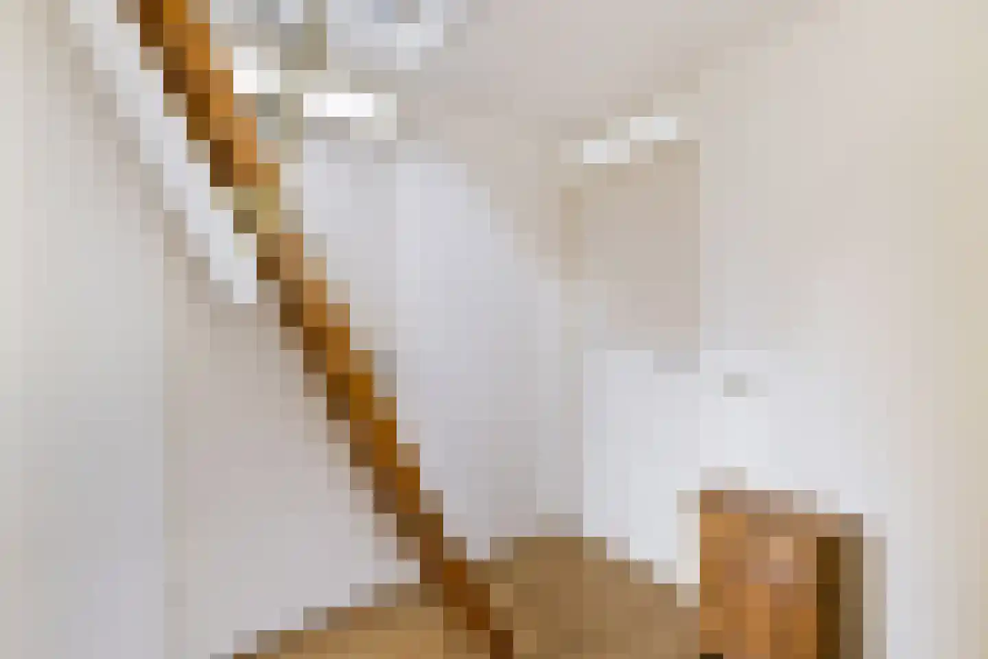 Schoener 3 Broek op Langedijk thumbnail 30