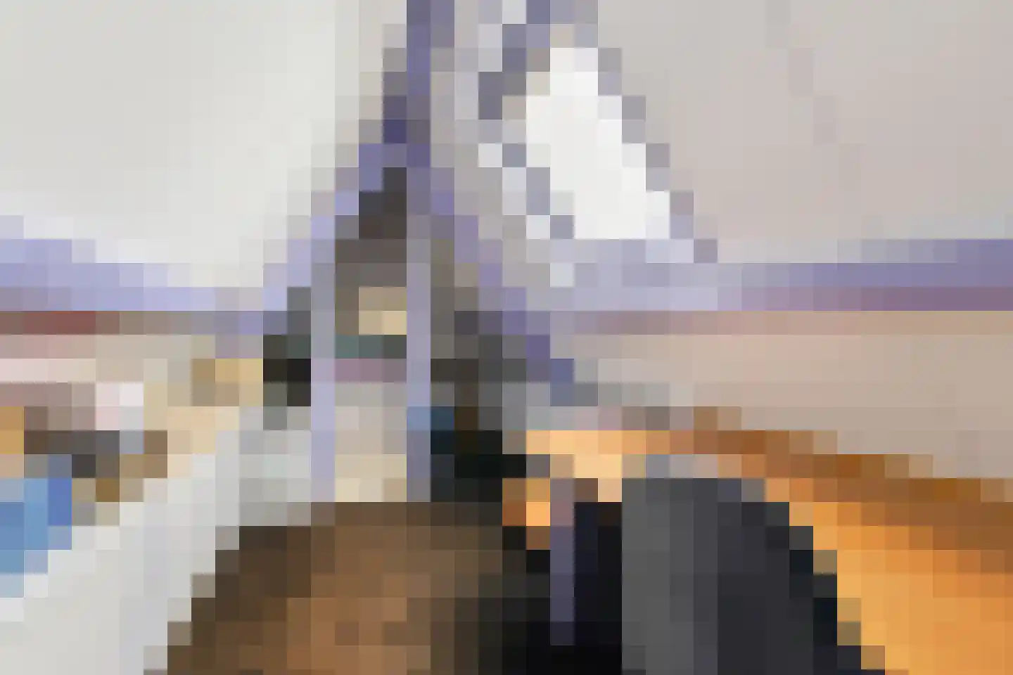 Schoener 3 Broek op Langedijk thumbnail 32