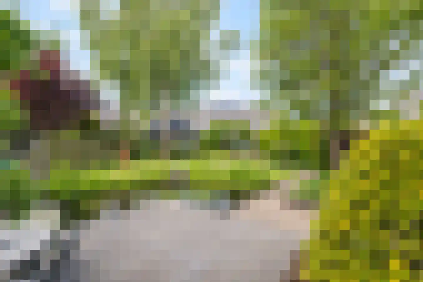 Schoener 3 Broek op Langedijk thumbnail 35