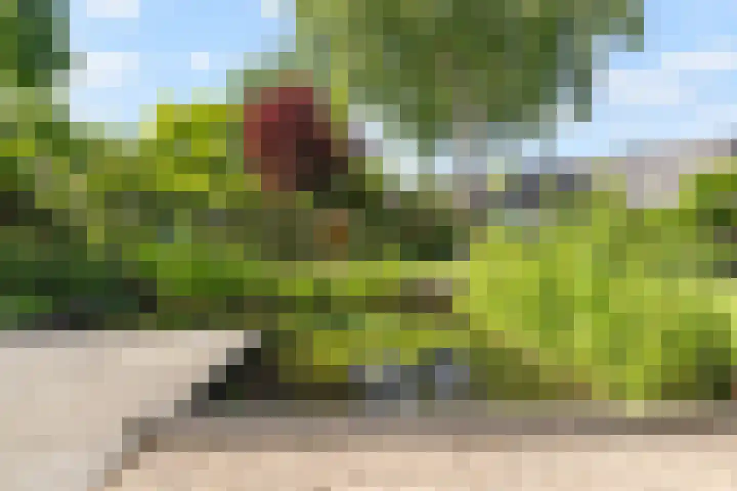 Schoener 3 Broek op Langedijk thumbnail 36