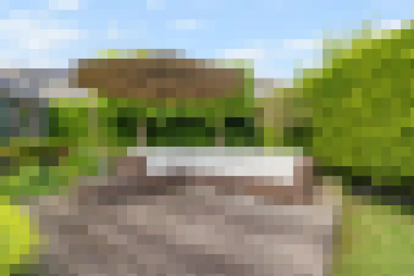 Schoener 3 Broek op Langedijk thumbnail 41