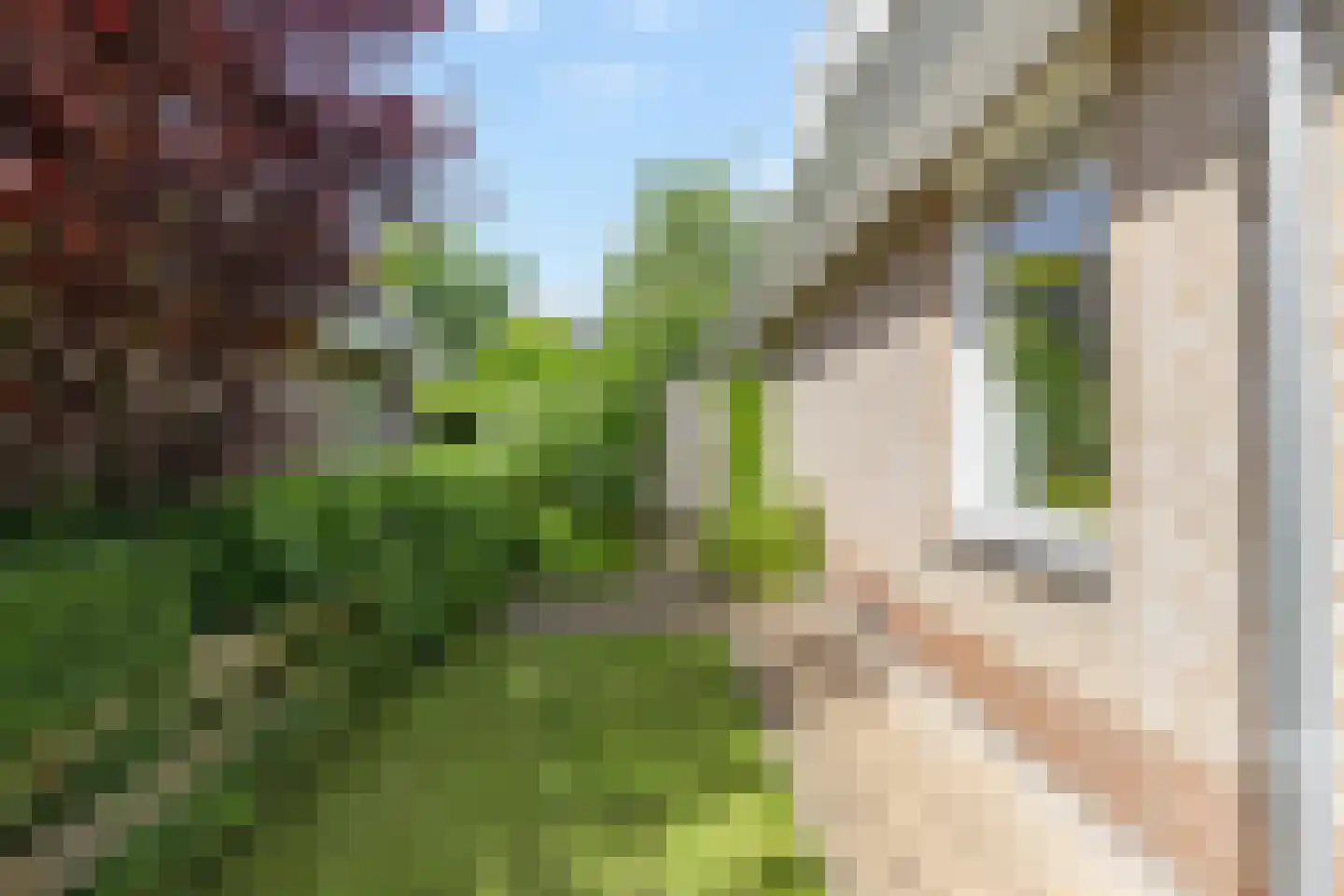 Schoener 3 Broek op Langedijk thumbnail 44