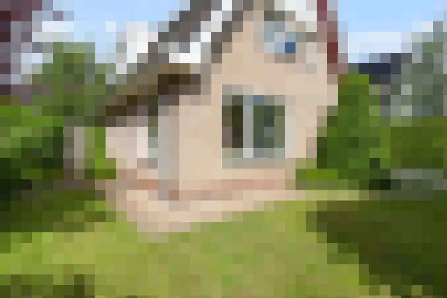 Schoener 3 Broek op Langedijk thumbnail 8