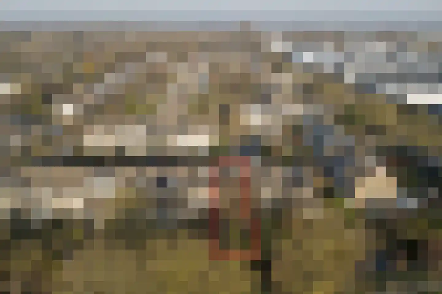Schoener 32 Hoorn thumbnail 31