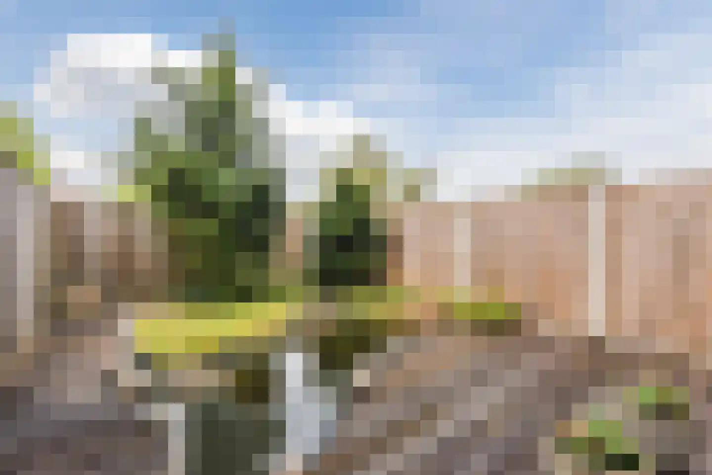 Schoener 33 16 Lelystad thumbnail 30