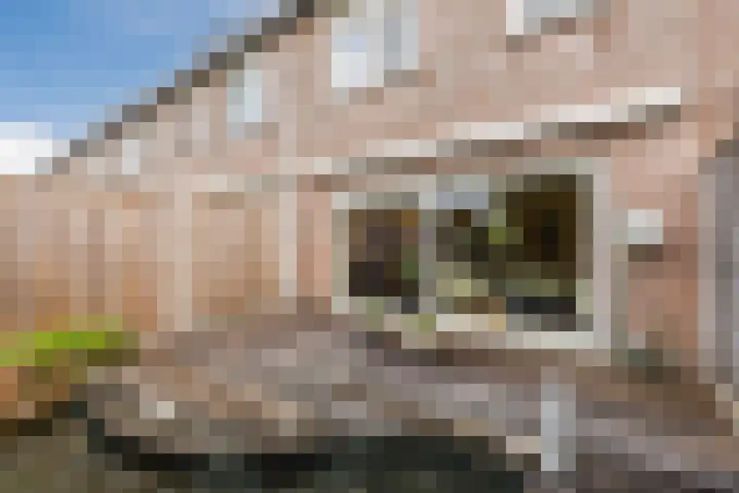 Schoener 33 16 Lelystad thumbnail 31