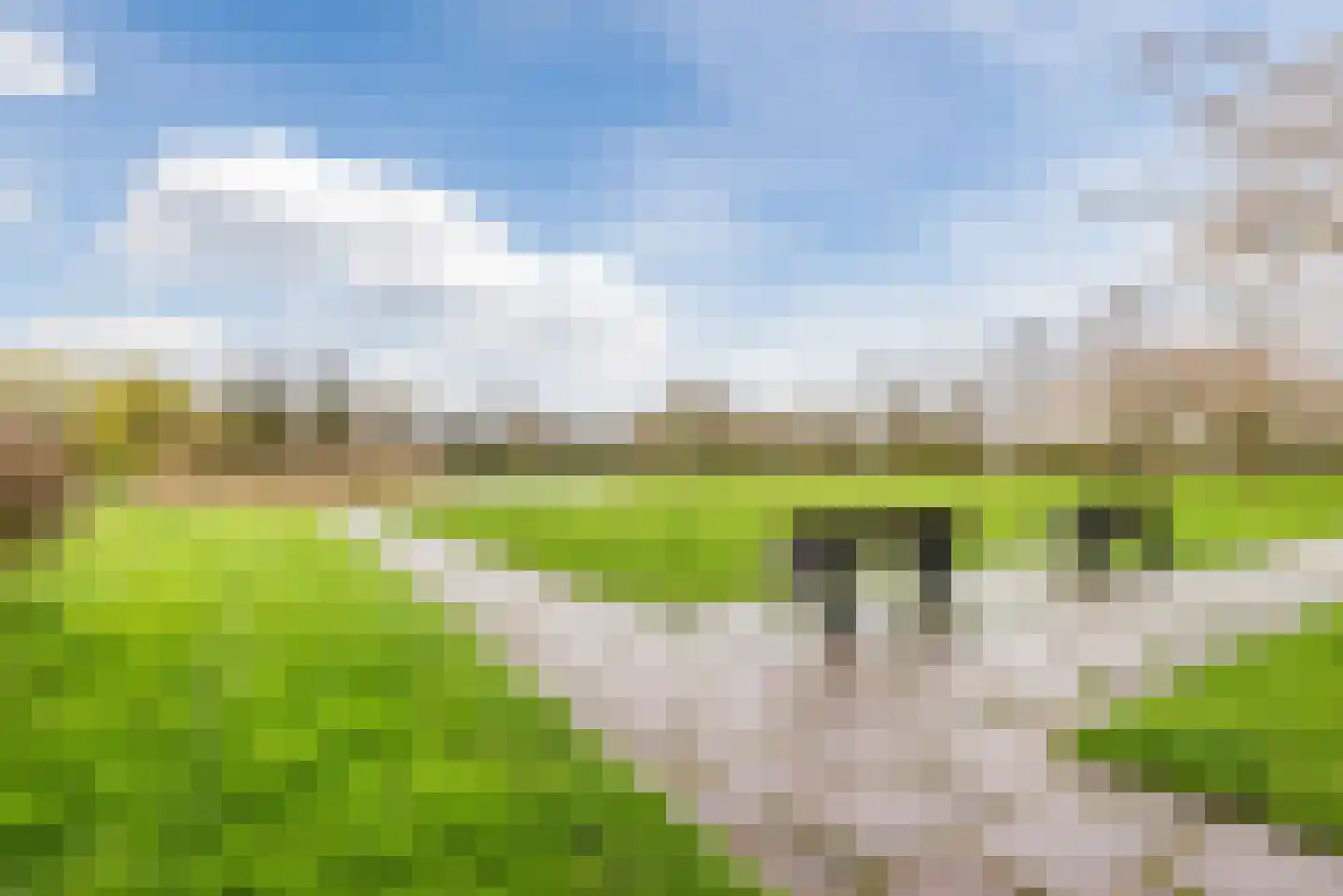 Schoener 33 16 Lelystad thumbnail 39
