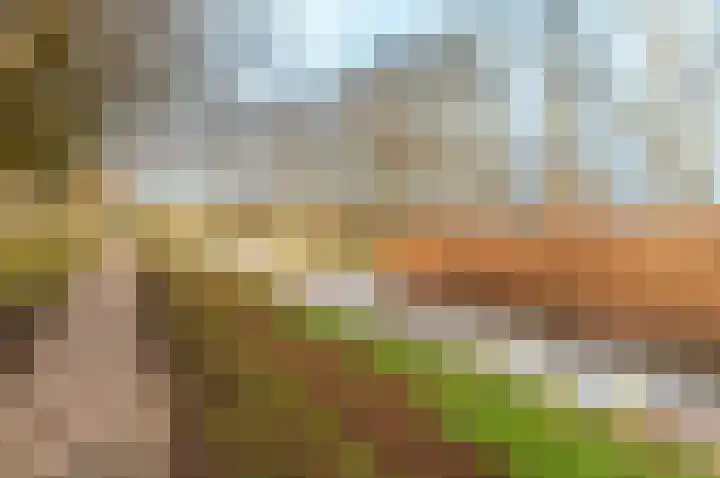 Schoener 35 35 11 Lelystad thumbnail 37
