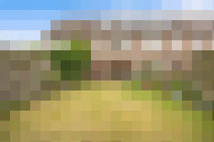 Schoener 35 40 Lelystad thumbnail 28