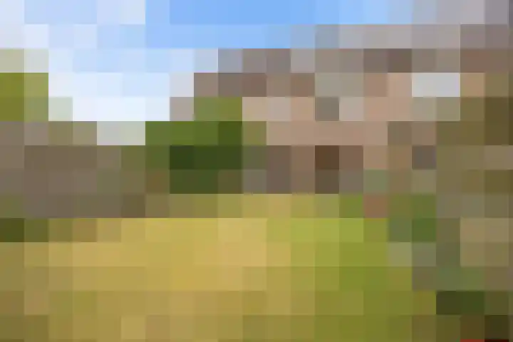 Schoener 35 40 Lelystad thumbnail 29