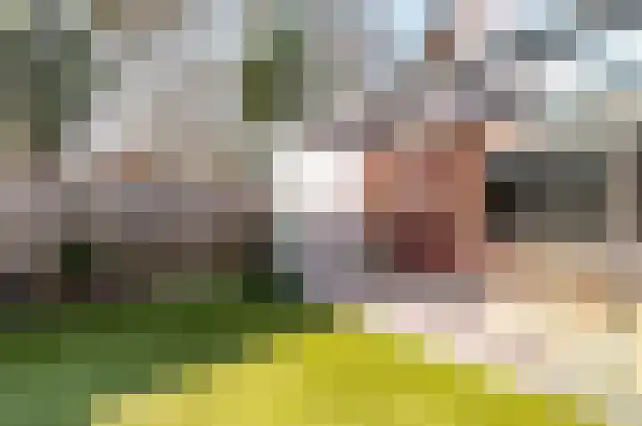Schoener 35 61 Lelystad thumbnail 30